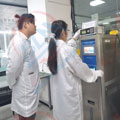严格把控草莓视频APP在线观看精度图片
